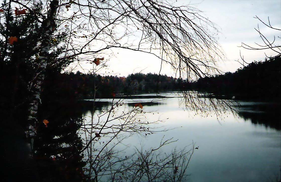 Photography by MissTish for DesignCrowd (Community Contests) | Design #9106746