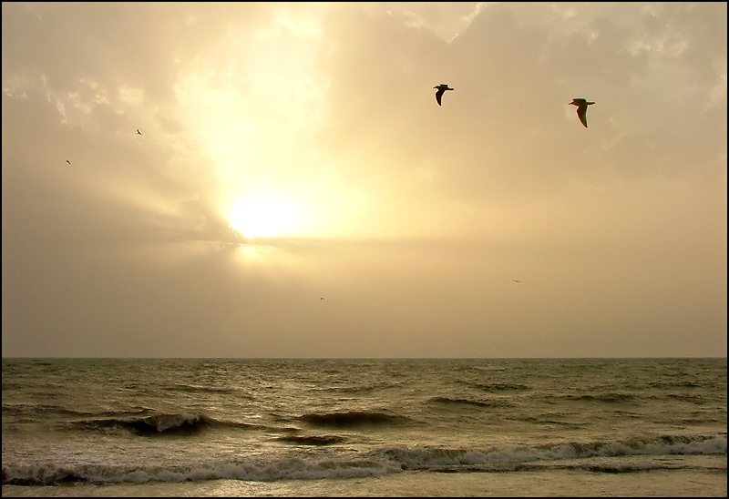 Fotografía por MilaCroft para DesignCrowd (Community Contests) | Diseño #9106754