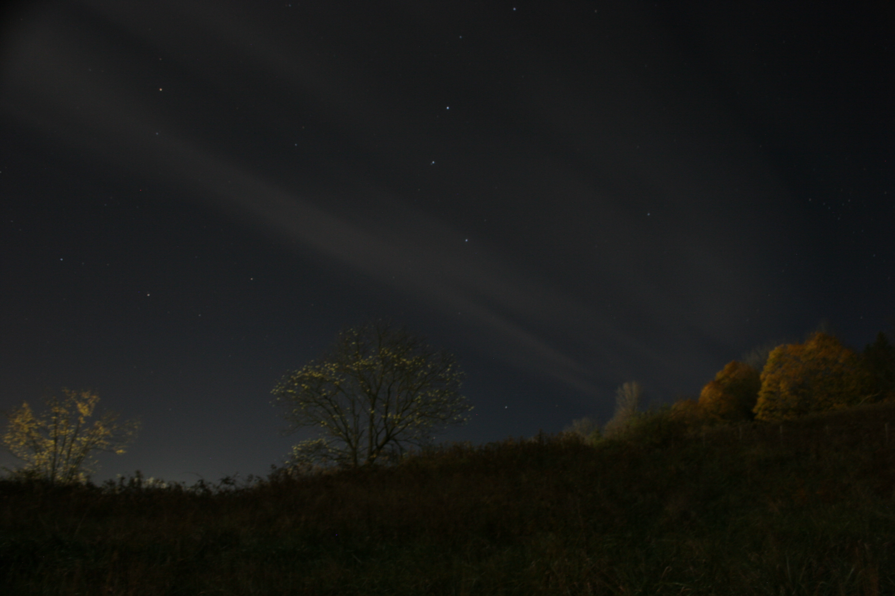 Photography by dirtyrat for DesignCrowd (Community Contests) | Design #9106714