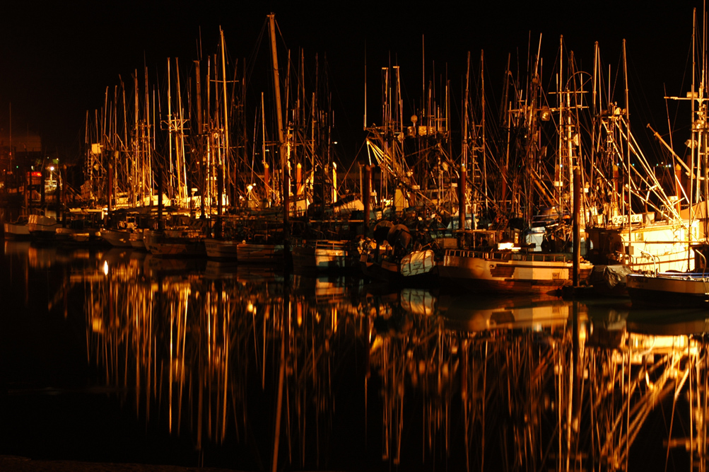 Photography by Abnormalimpulse for DesignCrowd (Community Contests) | Design #9103134