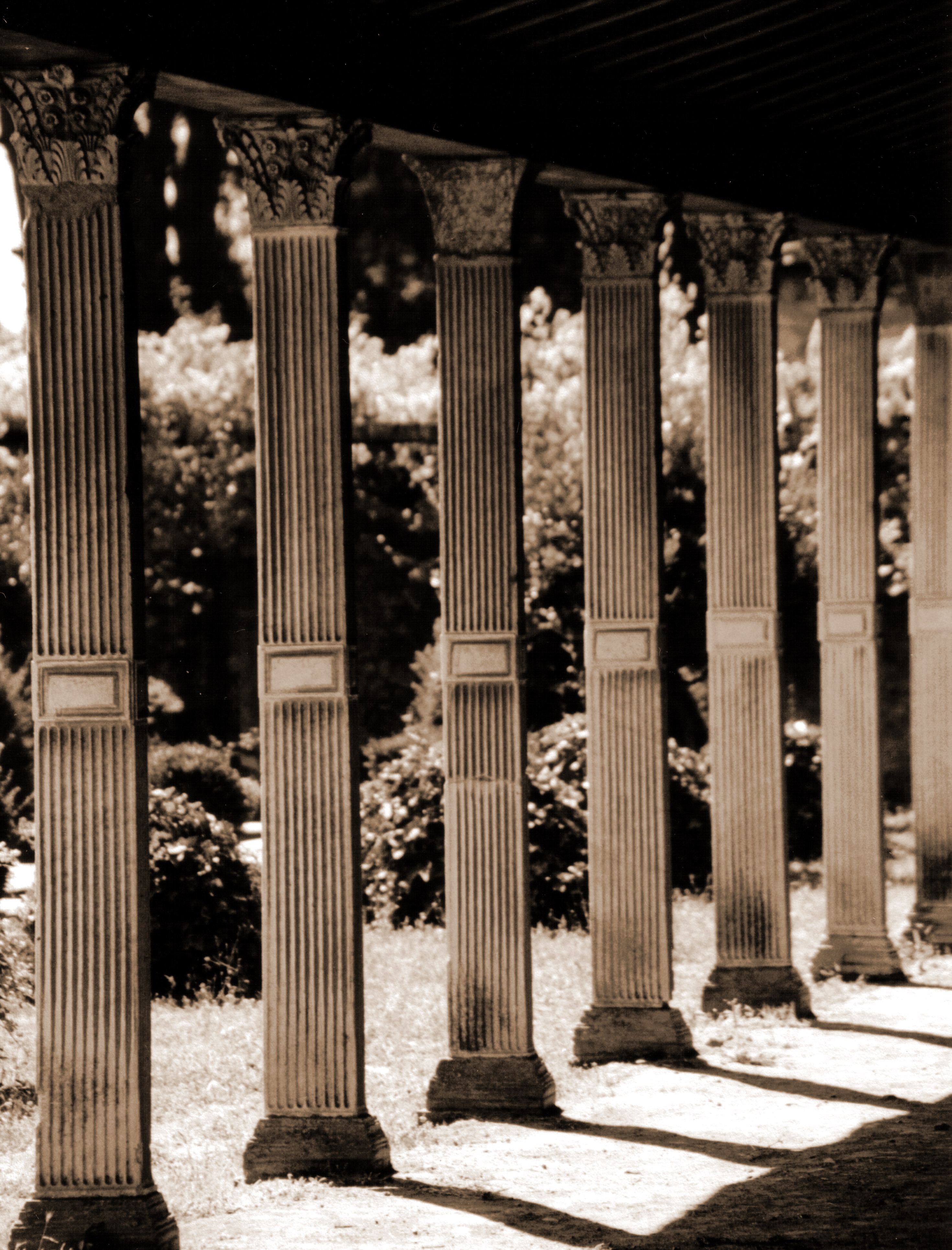 Photography by virtualstrauss for DesignCrowd (Community Contests) | Design #9103152