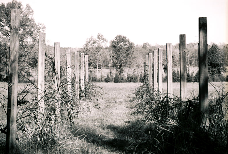 Photography by psyclone for DesignCrowd (Community Contests) | Design #9103260