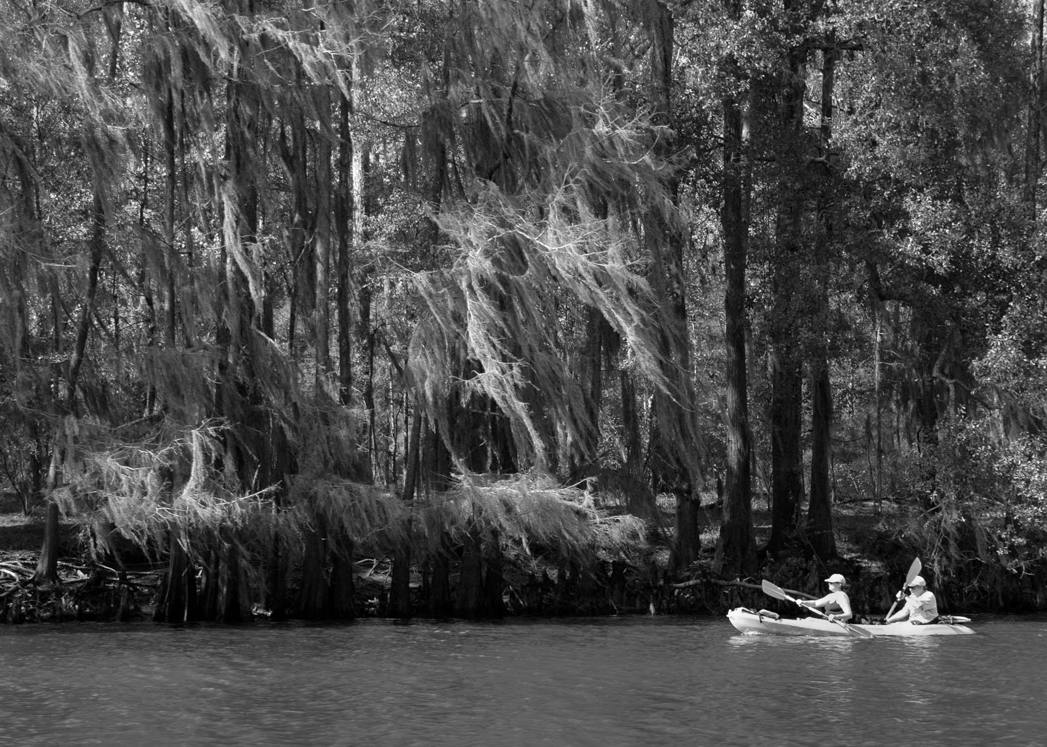 Photography by spsphoto for DesignCrowd (Community Contests) | Design #9106841