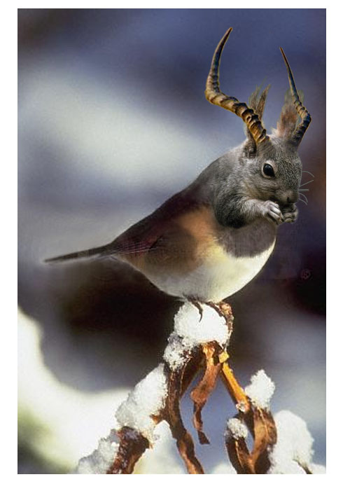 Photoshop Design by jerrib for DesignCrowd (Community Contests) | Design #9105629