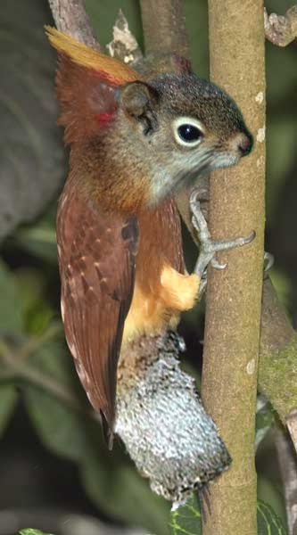 Diseño de Photoshop por Slipknotic para DesignCrowd (Community Contests) | Diseño #9105666