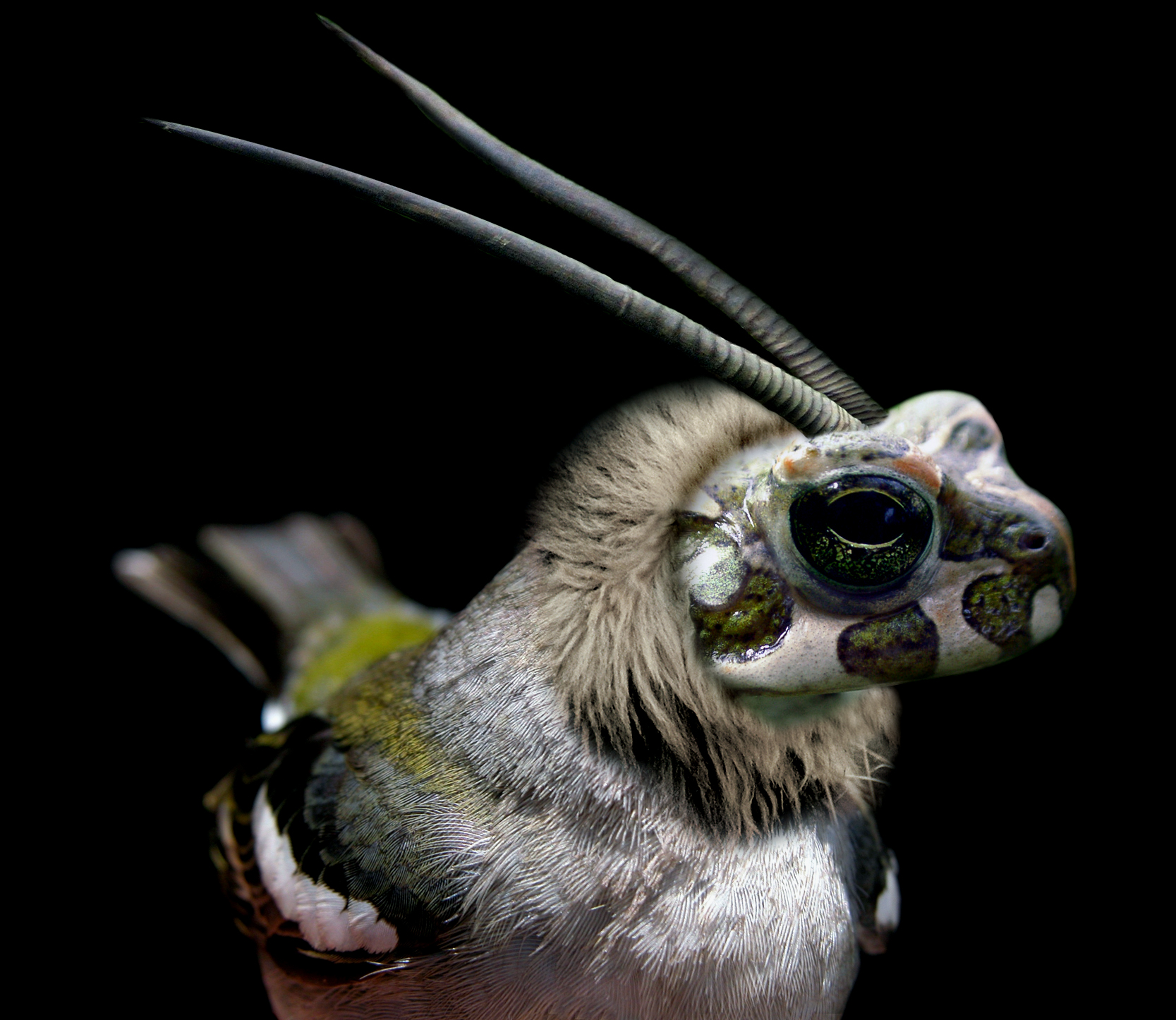 Photoshop Design by fromthemill for DesignCrowd (Community Contests) | Design #9105643