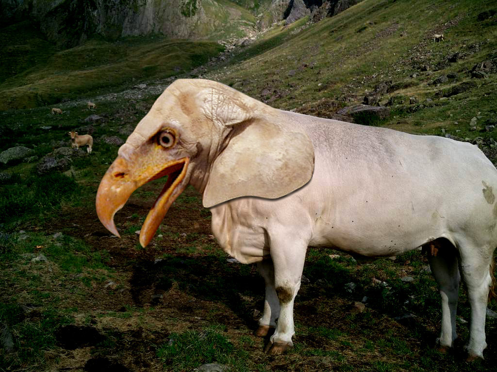 Photoshop Design by seblamouret for DesignCrowd (Community Contests) | Design #9105649