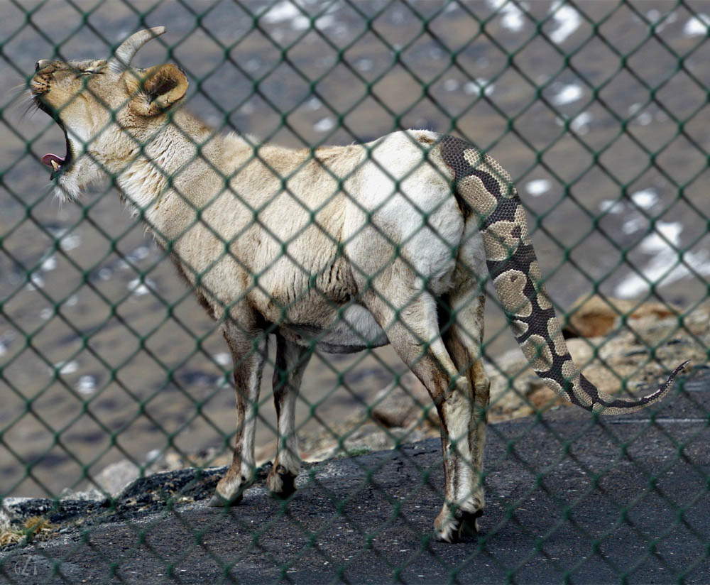 Design Photoshop par godzillatemple pour DesignCrowd (Community Contests) | Design #9105674