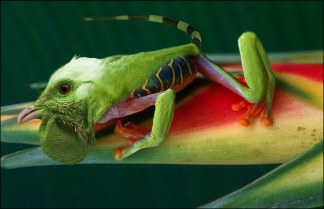 Photoshop Design by dueceb for DesignCrowd (Community Contests) | Design #9105708