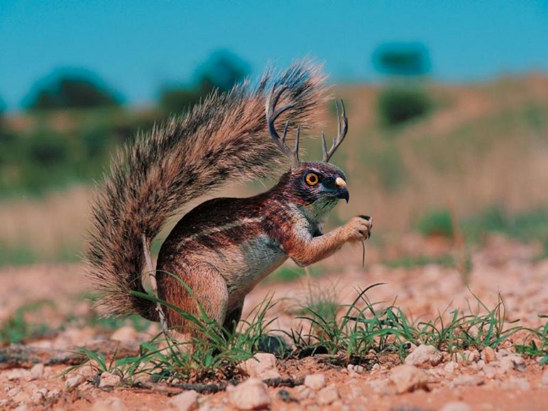 Photoshop Design by ootjuh for DesignCrowd (Community Contests) | Design #9105709