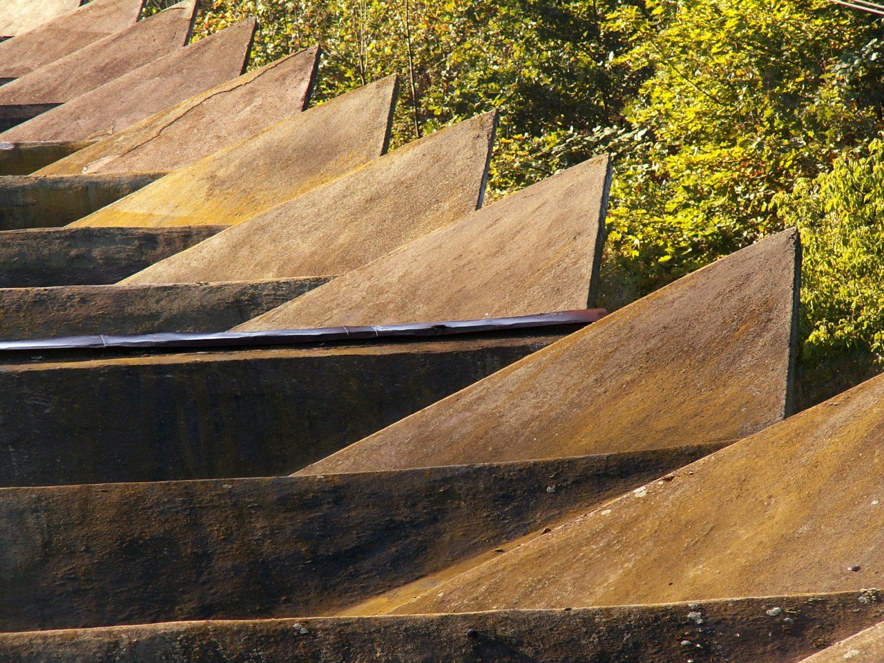 Photography by xfreetwo for DesignCrowd (Community Contests) | Design #9103352