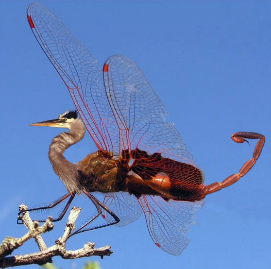 Diseño de Photoshop por nocturnal654 para DesignCrowd (Community Contests) | Diseño #9105686