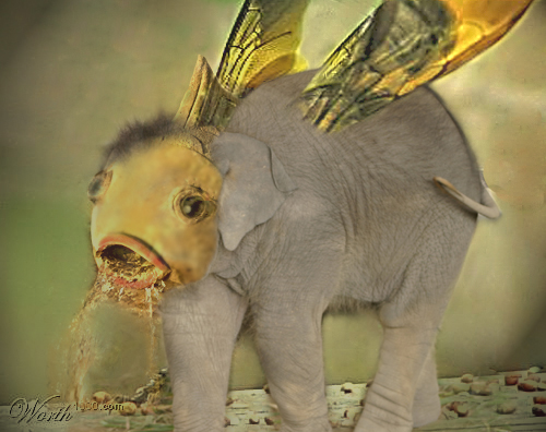 Photoshop Design by chipper for DesignCrowd (Community Contests) | Design #9105668