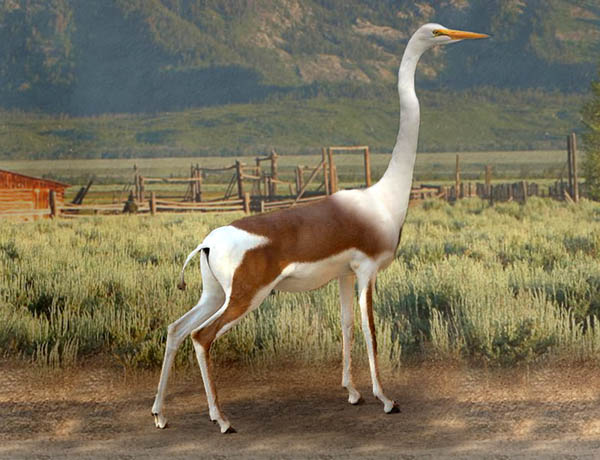 Photoshop Design by cccvrcak for DesignCrowd (Community Contests) | Design #9105711