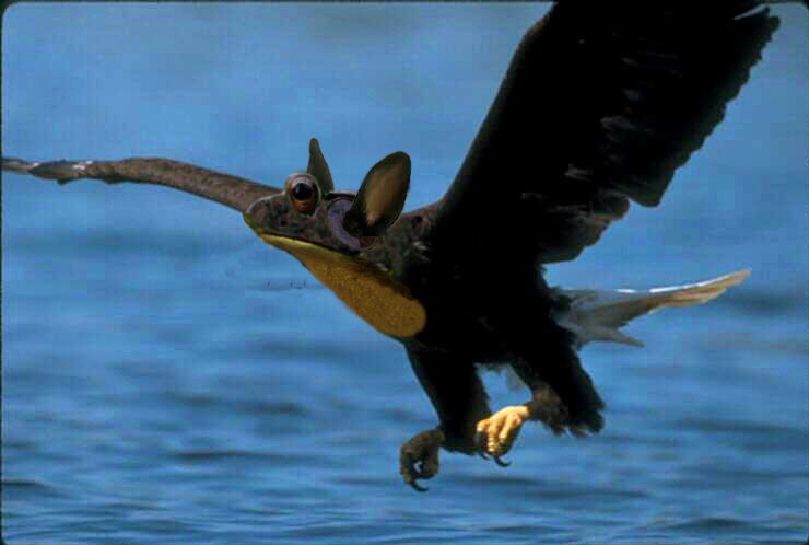 Photoshop Design by JakeMenorca for DesignCrowd (Community Contests) | Design #9106094