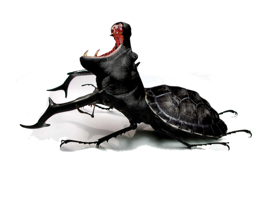 Diseño de Photoshop por Threedeenow para DesignCrowd (Community Contests) | Diseño #9106032