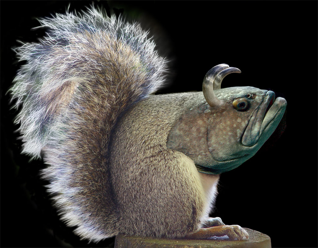 Photoshop Design by ecolio for DesignCrowd (Community Contests) | Design #9105892