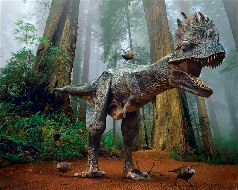 Design Photoshop par j0hnnn pour DesignCrowd (Community Contests) | Design #9106069