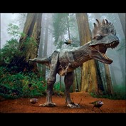 Photoshop Design by j0hnnn