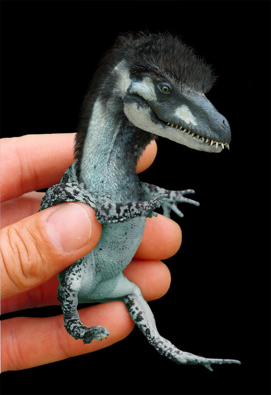 Photoshop Design by Norrit for DesignCrowd (Community Contests) | Design #9105903