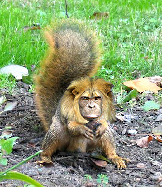 Design Photoshop par eduj65 pour DesignCrowd (Community Contests) | Design #9106007