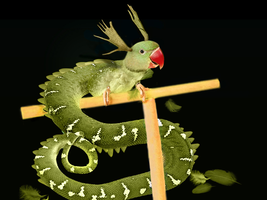 Photoshop Design by Mupshur for DesignCrowd (Community Contests) | Design #9106028