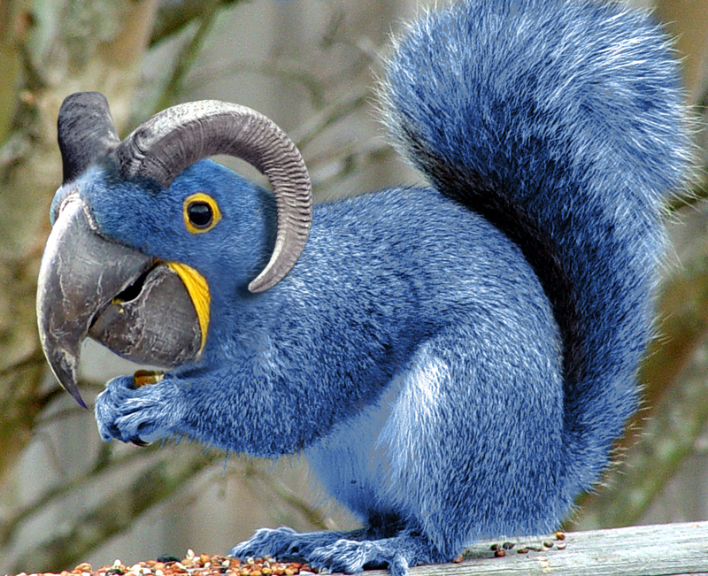 Photoshop Design by Redbull_UK for DesignCrowd (Community Contests) | Design #9105837