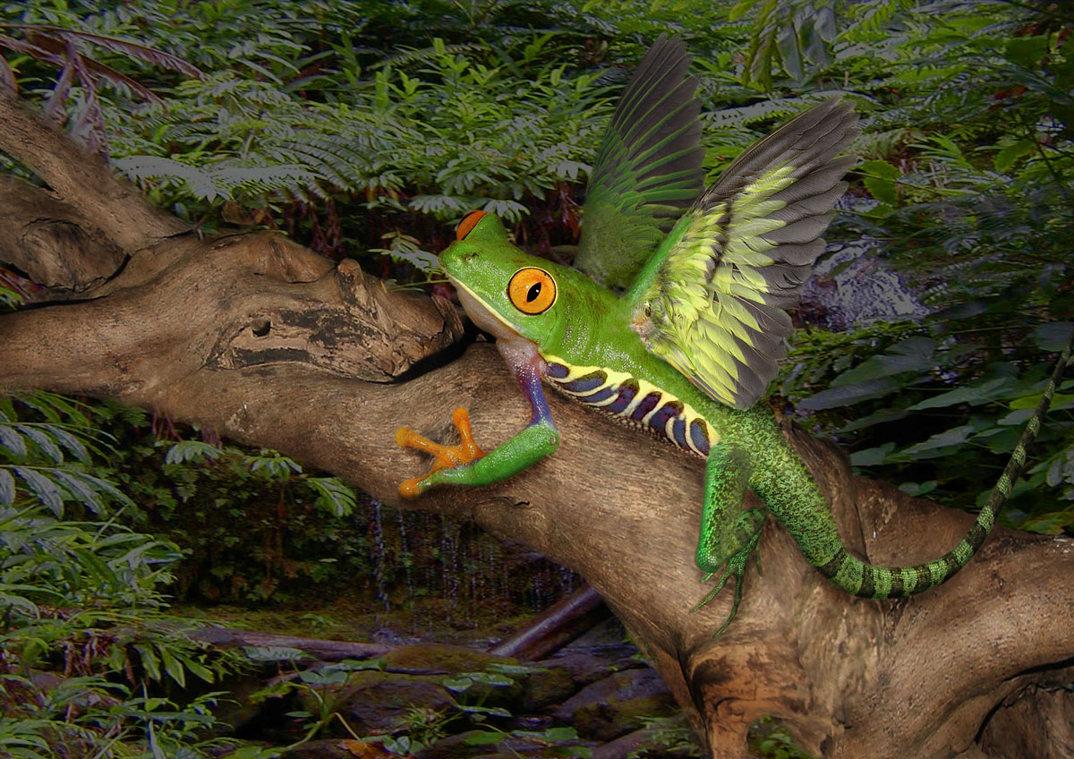 Diseño de Photoshop por bryancaz para DesignCrowd (Community Contests) | Diseño #9106047