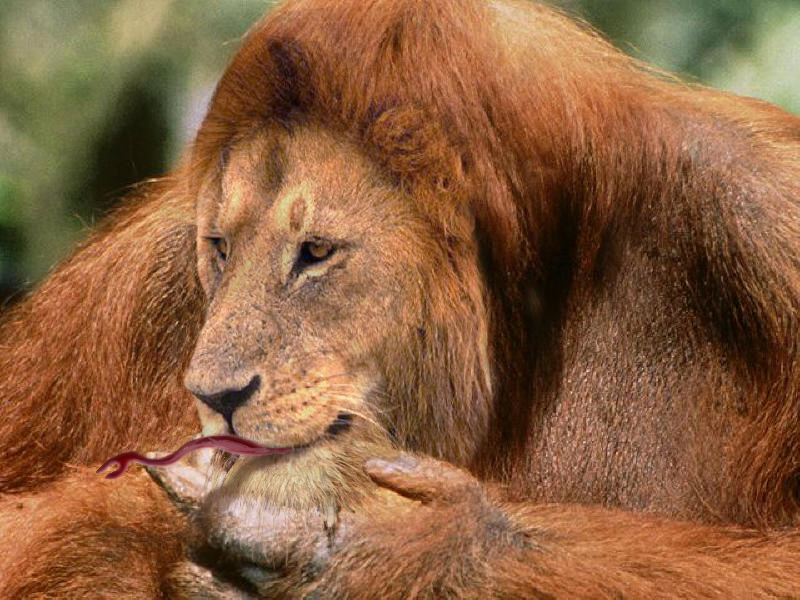 Photoshop-Design von iddad1337 für DesignCrowd (Community Contests) | Design #9105895