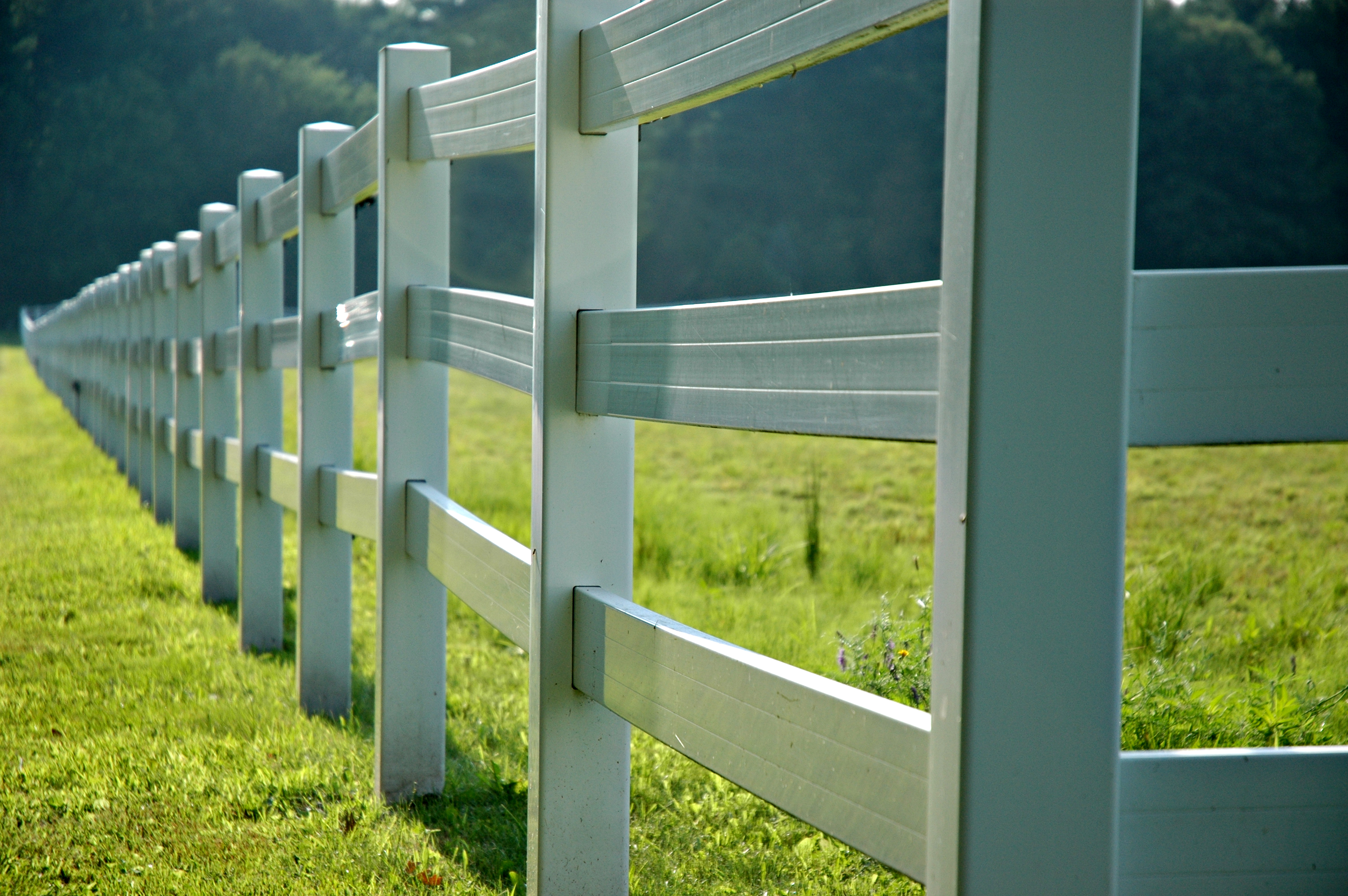 Photographie par squeakers pour DesignCrowd (Community Contests) | Design #9103413