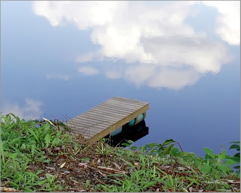 Photographie par squeakers pour DesignCrowd (Community Contests) | Design #9107009