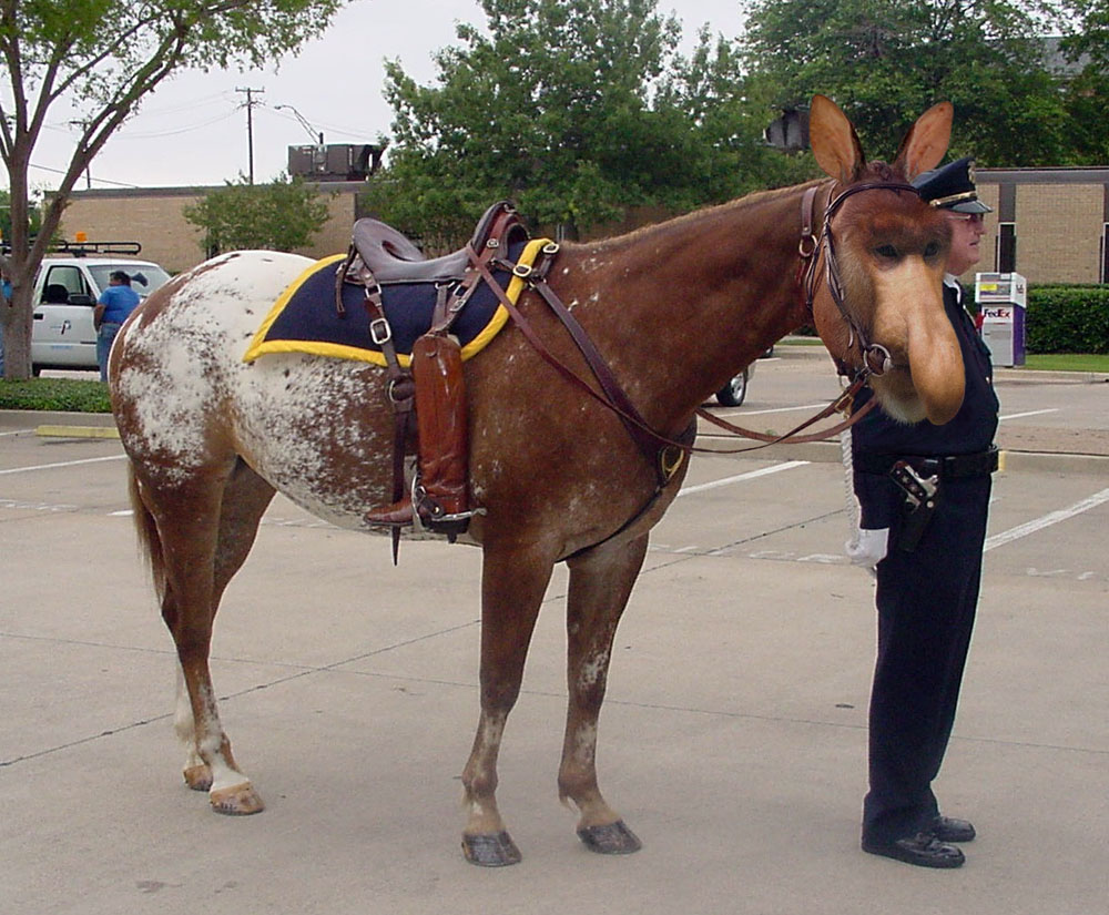 Diseño de Photoshop por kbilltv para DesignCrowd (Community Contests) | Diseño #9105861