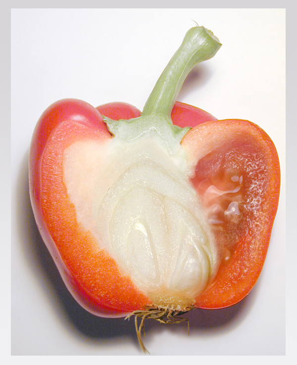 Photoshop Design by baraszkany for DesignCrowd (Community Contests) | Design #9105341