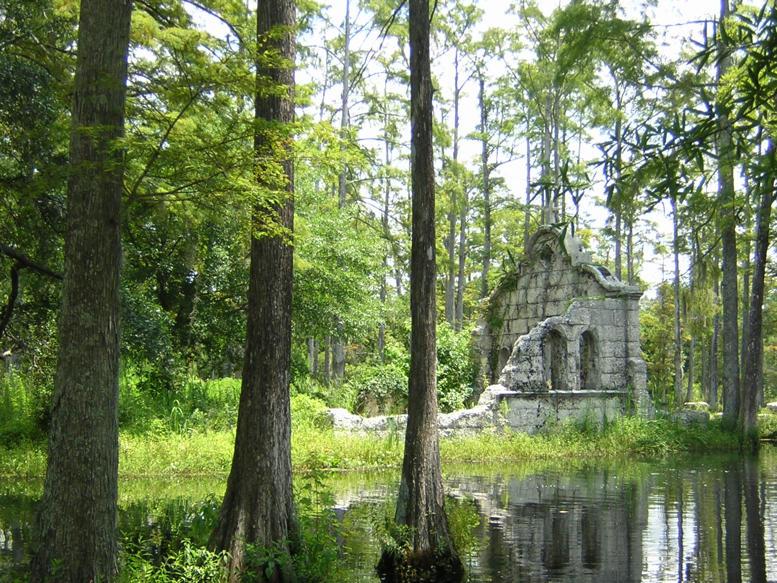 Photographie par moxieshark pour DesignCrowd (Community Contests) | Design #9104373