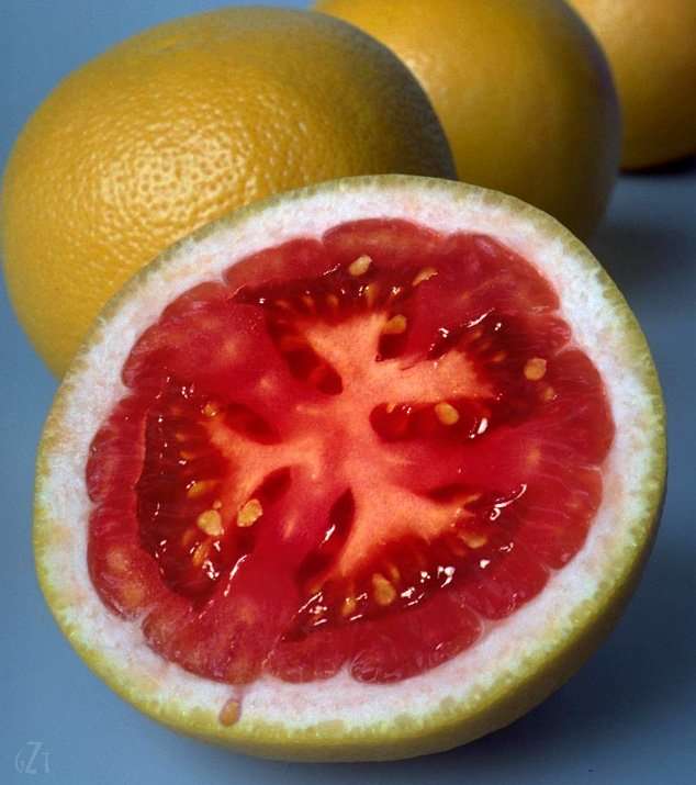 Design Photoshop par godzillatemple pour DesignCrowd (Community Contests) | Design #9105298