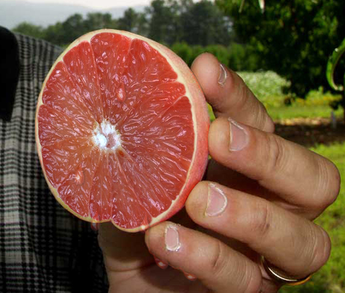 Photoshop Design by Bartman for DesignCrowd (Community Contests) | Design #9105389