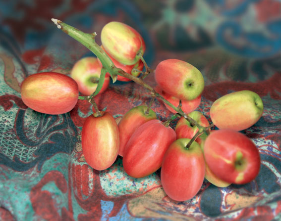 Diseño de Photoshop por moneyshot para DesignCrowd (Community Contests) | Diseño #9105376