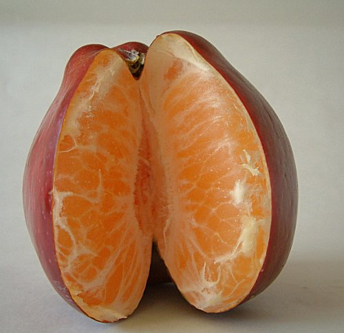 Photoshop Design by Cj for DesignCrowd (Community Contests) | Design #9105369