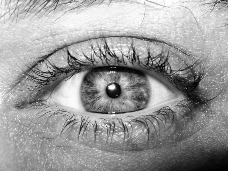 Photographie par Alnath pour DesignCrowd (Community Contests) | Design #9080676