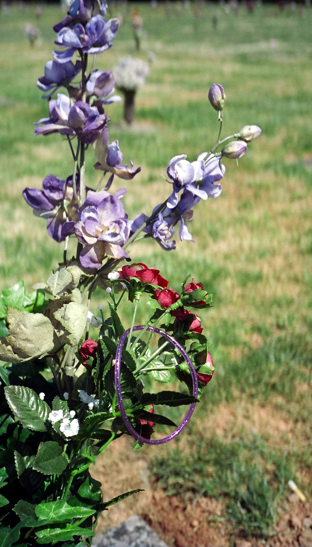 Photographie par cicisunflower pour DesignCrowd (Community Contests) | Design #9104405