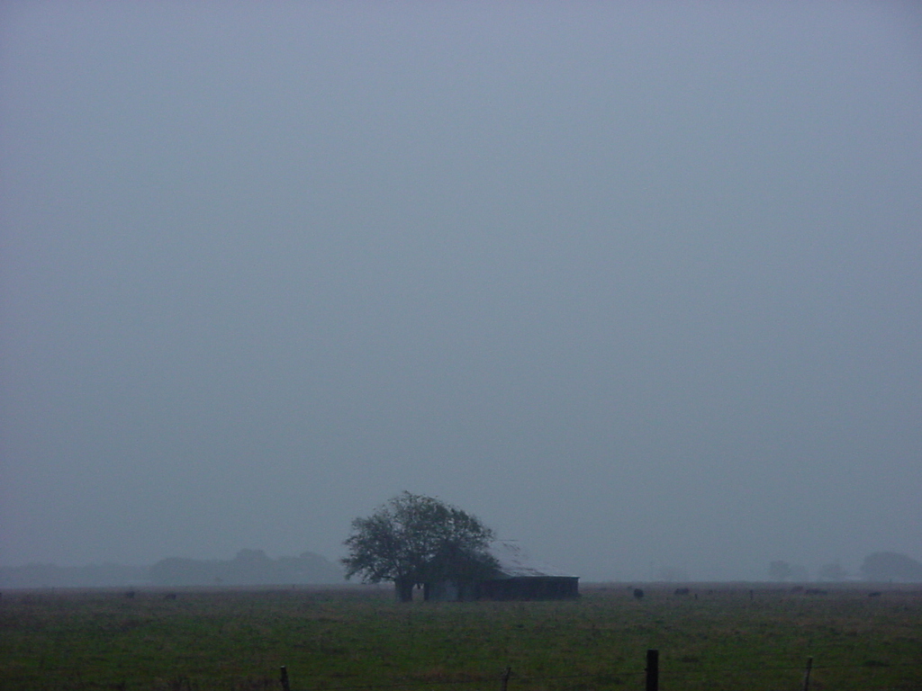 Photography by Ackley for DesignCrowd (Community Contests) | Design #9104403