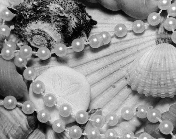 Photography by OMT515 for DesignCrowd (Community Contests) | Design #9080824