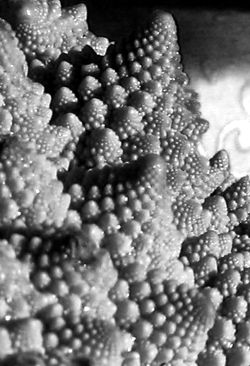 Photography by Juntis for DesignCrowd (Community Contests) | Design #9080798