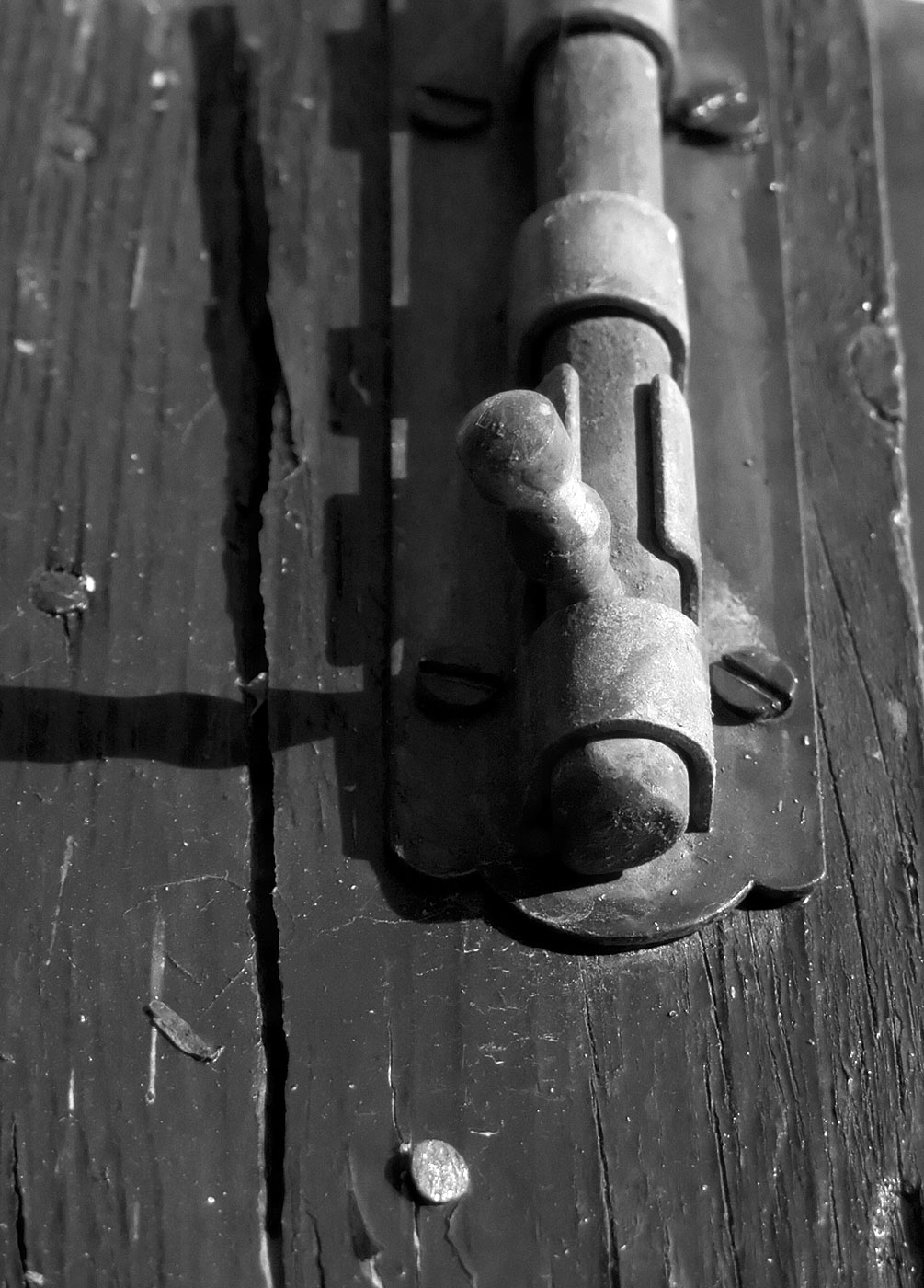 Photographie par gorgonzola pour DesignCrowd (Community Contests) | Design #9080785