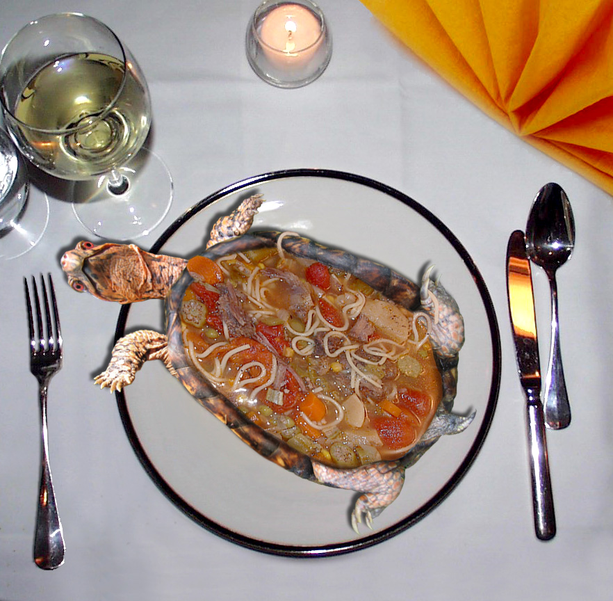 Photoshop Design by Netali for DesignCrowd (Community Contests) | Design #9104604