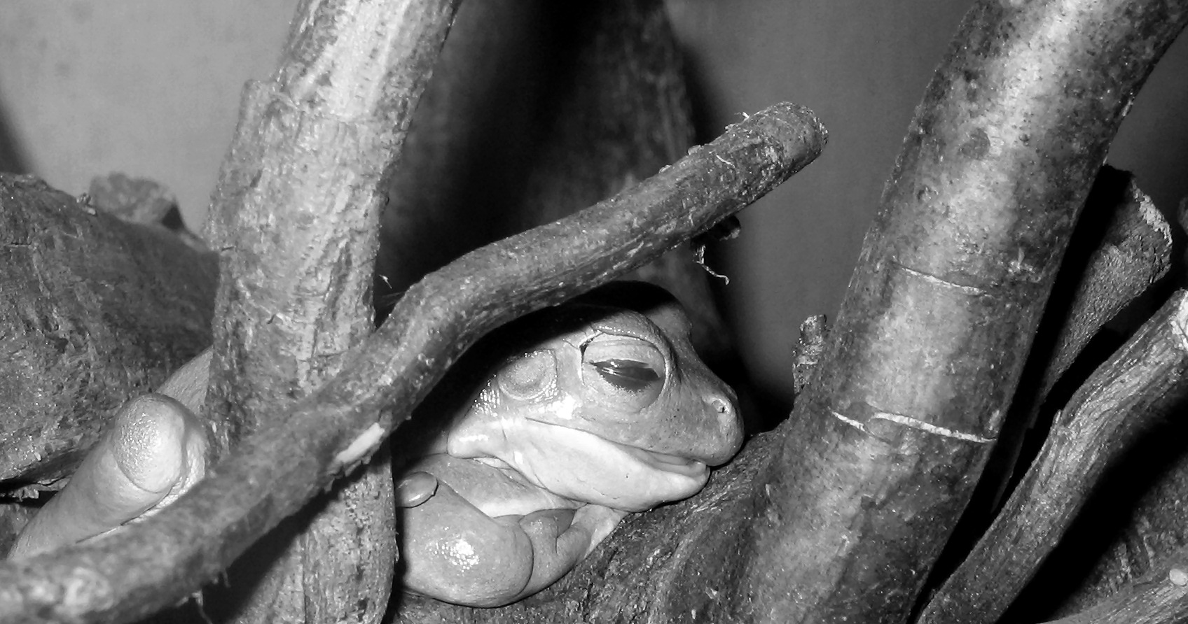 Photography by TonioRoffo for DesignCrowd (Community Contests) | Design #9080886