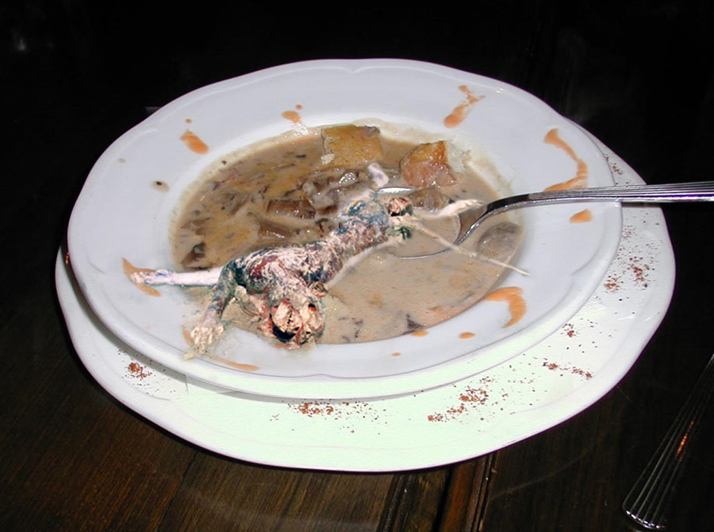 Photoshop Design by moultag for DesignCrowd (Community Contests) | Design #9104778