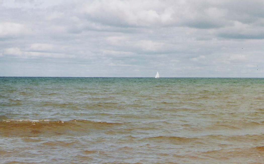 Photography by MissTish for DesignCrowd (Community Contests) | Design #9104578