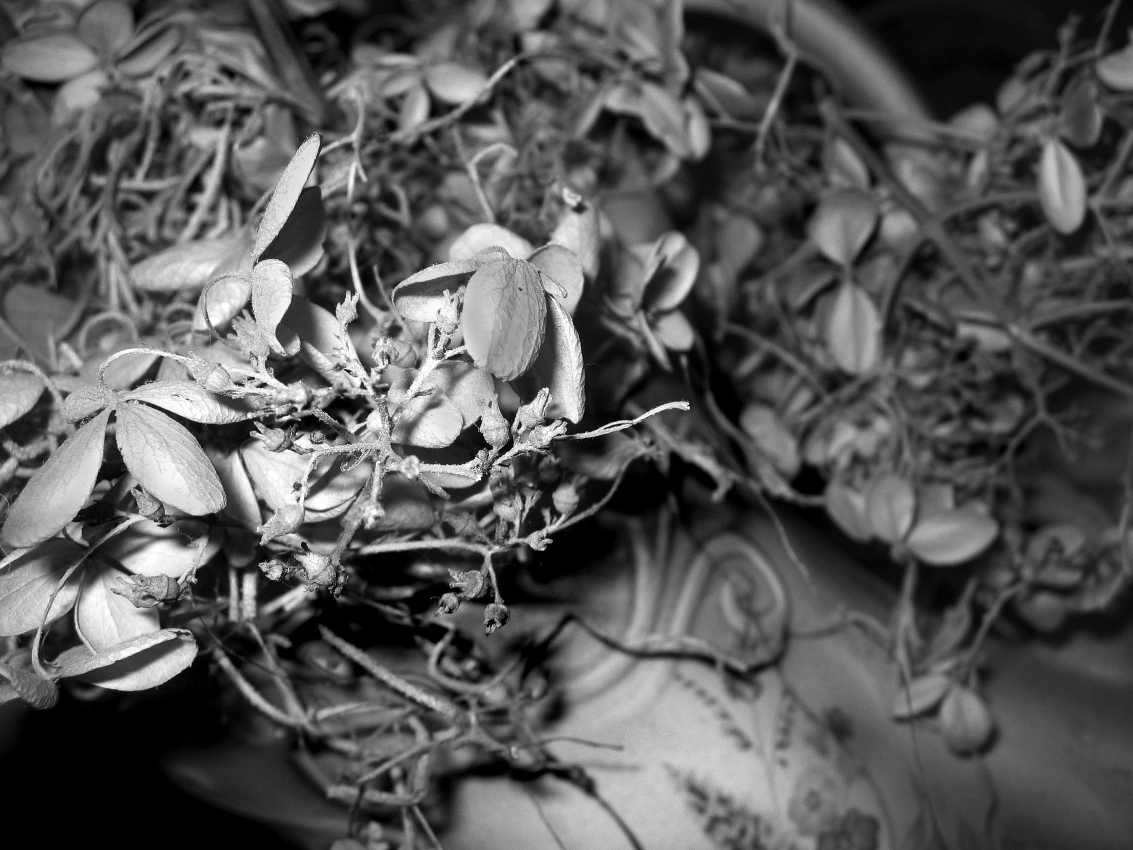 Photography by jbpena86 for DesignCrowd (Community Contests) | Design #9080955