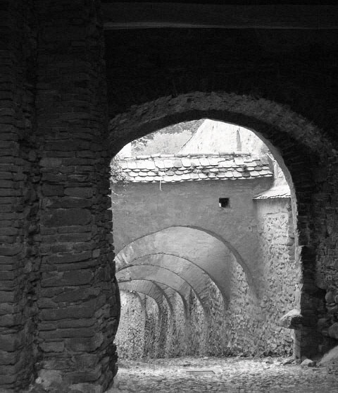 Photographie par AmaElia pour DesignCrowd (Community Contests) | Design #9104590